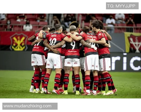 弗拉门戈与博塔弗戈的激烈对决揭示巴西足球的魅力与竞争精神