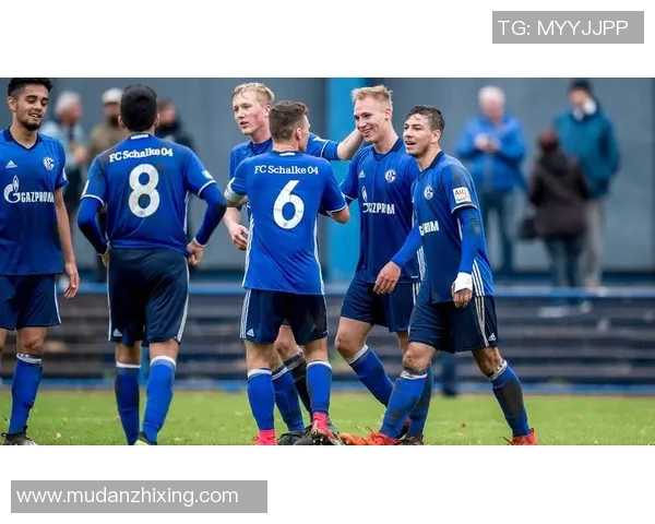 沙尔克04客场憾负,遭遇破局之痛 沙尔克04客场憾负,遭遇破局之痛